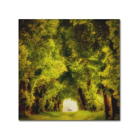Trademark Fine Art Piotr Krol 'Spring Time' Canvas Art, 14x14 1X01587-C1414GG